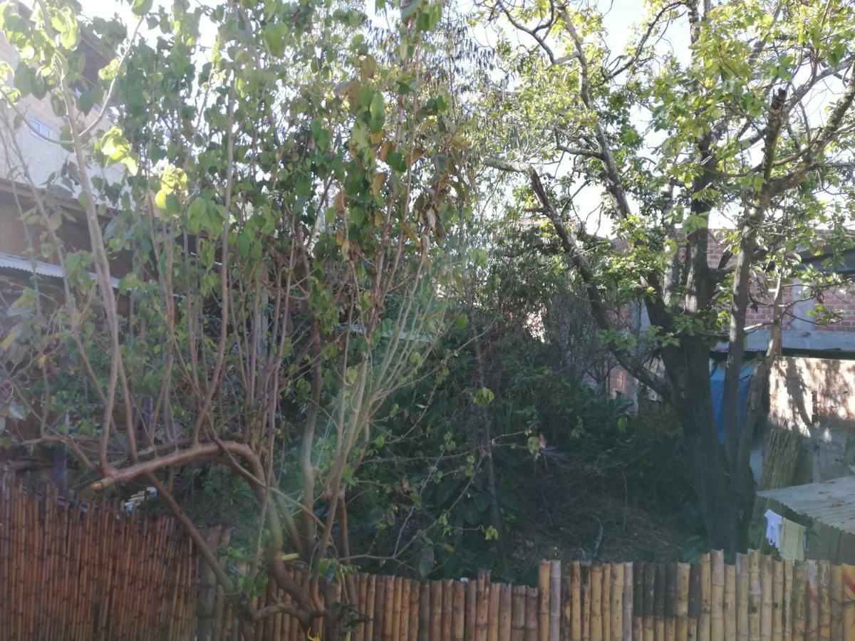 Aventura Chachapoyas Backpackers Hostel Εξωτερικό φωτογραφία